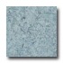 Armstrong Translations Blue Flog Vinyl Flooring
