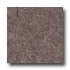 Armstrong Translations Cafe Mocha Vinyl Flooring