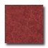 Armstrong Translations Cherry Red Vinyl Flooring