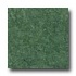 Armstrong Translations Jungle Green Vinyl Flooring