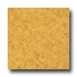 Armstrong Translations Yellow Straw Vinyl Flooring