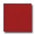 Armstrong Colorette With Naturcote Cherry Vinyl Flooring