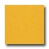 Armstrong Colorette With Naturcote Lemon Vinyl Flooring