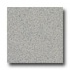 Armstrong Safeguard Spa - Slip Retardant Light Gray Vinyl Floori