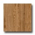 Armstrong Natural Visuals Plank Golden Oak Vinyl Flooring