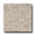 Armstrong Caliber - Dry Back Multistone Warm Gray Vinyl Flooring