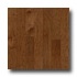 Stepco Domestics Loc Plank 3 1/2 Stained Hickory Hardwood Floori