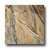 Emser Tile Marble 12 X 12 Rain Forest Brown Tile  and