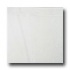 Emser Tile Marble 12 X 12 San Marcos Tile  and  Stone