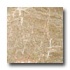 Emser Tile Marble 12 X 12 Strata Tan Tile  and  Stone