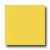 Daltile Design Porcelain Unpolished 12 X 12 Giallo Modena Tile &