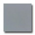 Daltile Design Porcelain Unpolished 12 X 12 Grigio Gandalf Tile