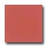 Daltile Design Porcelain Unpolished 12 X 12 Rosso