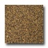 Emser Tile Granite 12 X 12 Giallo Colonia Tile & Stone