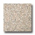 Emser Tile Granite 12 X 12 Panetela Brown Tile  and  S