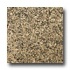 Emser Tile Granite 12 X 12 Tropical Tan Tile  and  Sto