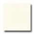 Daltile Design Porcelain Polished 12 X 12 Bianco D Alba Tile & S