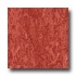 Armstrong Royal Lipstick Vinyl Flooring