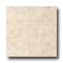 Armstrong Commission Plus Floral Medallion Desert Beige Vinyl Fl