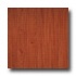 Armstrong Arbor Art 4 X 36 Amber Cherry Vinyl Flooring