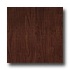 Armstrong Arbor Art 4 X 36 Eastern Walnut Red Brown Vinyl Floori