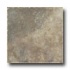 Tesoro Isla Colosseum 6.5 X 6.5 Visone Tile & Stone
