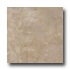 Armstrong Earthcuts 12 X 12 Color Wash Warm Gray Vinyl Flooring