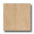 Armstrong Earthcuts 12 X 12 Roma Stone Crema Vinyl Flooring