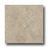 Armstrong Earthcuts 12 X 12 Sierra Taupe Vinyl Flo