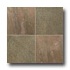Emser Tile Slate  and  Quartzite Honed 12 X 12 Copper