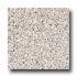 Armstrong Safety Zone - Slip Retardant Earth Stone Vinyl Floorin