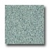 Armstrong Safety Zone - Slip Retardant Forest Floor Vinyl Floori