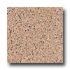 Armstrong Safety Zone - Slip Retardant Soft Cedar Vinyl Flooring