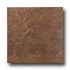 United States Ceramic Tile Avalon 16 X 16 Umber Tile & Stone