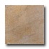 United States Ceramic Tile Duomo 13 X 13 Sepia Tile & Stone