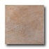 United States Ceramic Tile Duomo 13 X 13 Sorrel Tile & Stone