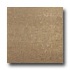 United States Ceramic Tile Luxor 12 X 12 Polished Cocoa Tile & S