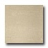 United States Ceramic Tile Luxor 12 X 12 Polished Sand Tile & St