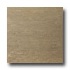 United States Ceramic Tile Luxor 12 X 12 Unpolished Cocoa Tile &