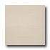 United States Ceramic Tile Luxor 12 X 12 Unpolished Ivory Tile &