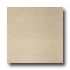 United States Ceramic Tile Luxor 12 X 12 Unpolished Sand Tile &