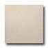 United States Ceramic Tile Luxor 16 X 16 Polished Ivory Tile & S