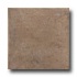 United States Ceramic Tile Palermo 12 X 12 Coffee Tile & Stone
