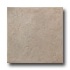 United States Ceramic Tile Palermo 12 X 12 Oyster Tile & Stone