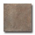 United States Ceramic Tile Palermo 6 X 6 Forest Tile & Stone