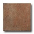 United States Ceramic Tile Palermo 6 X 6 Rouge Tile & Stone