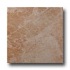United States Ceramic Tile Stratford 12 X 12 Beige Tile & Stone