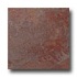 United States Ceramic Tile Stratford 12 X 12 Copper Tile & Stone