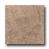 United States Ceramic Tile Tiburon 8 X 12 Dune Tile & Stone