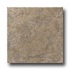 United States Ceramic Tile Tiburon 8 X 12 Moss Tile & Stone